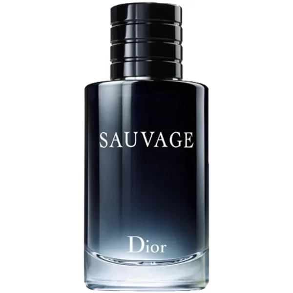 عطر ادکلن ادو پرفیوم دیور ساواج-ساوج-ساواژ Dior Sauvage 1